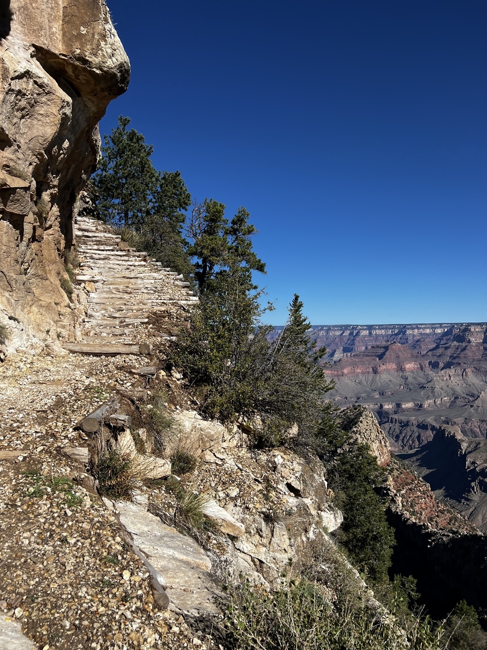 arizona-1